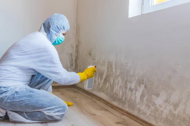 Hvac And Air Duct Mold Remediation inspection of HVAC system in Warrenton